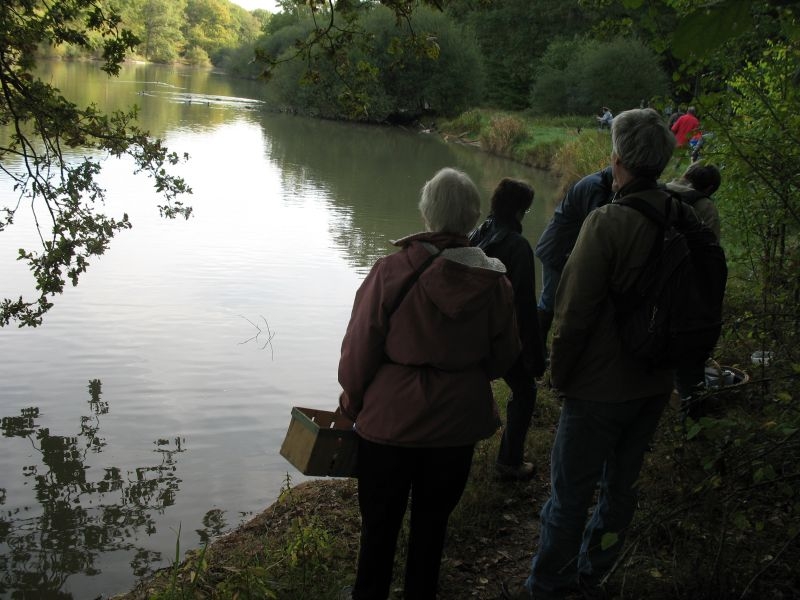 2006 10 Myco Etang d'Or 11